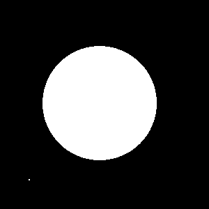 Рис. 2. Модельное изображение: белый круг — это основной объект, а белая точка — это шум